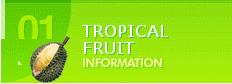 tropical_fruit_information
