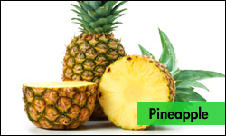 PINEAPPLE – Common Varieties – TFNet – International Tropical