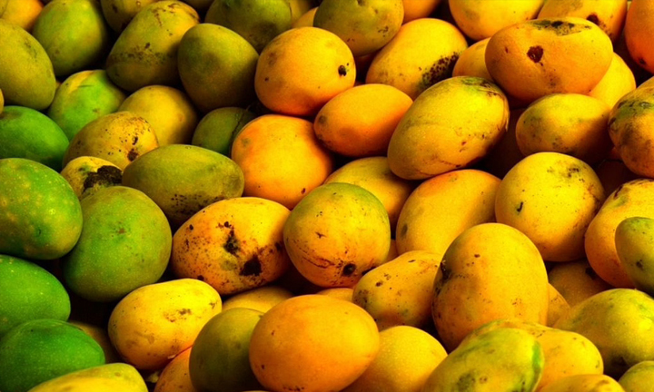 10 Indian Mangoes With GI Tags